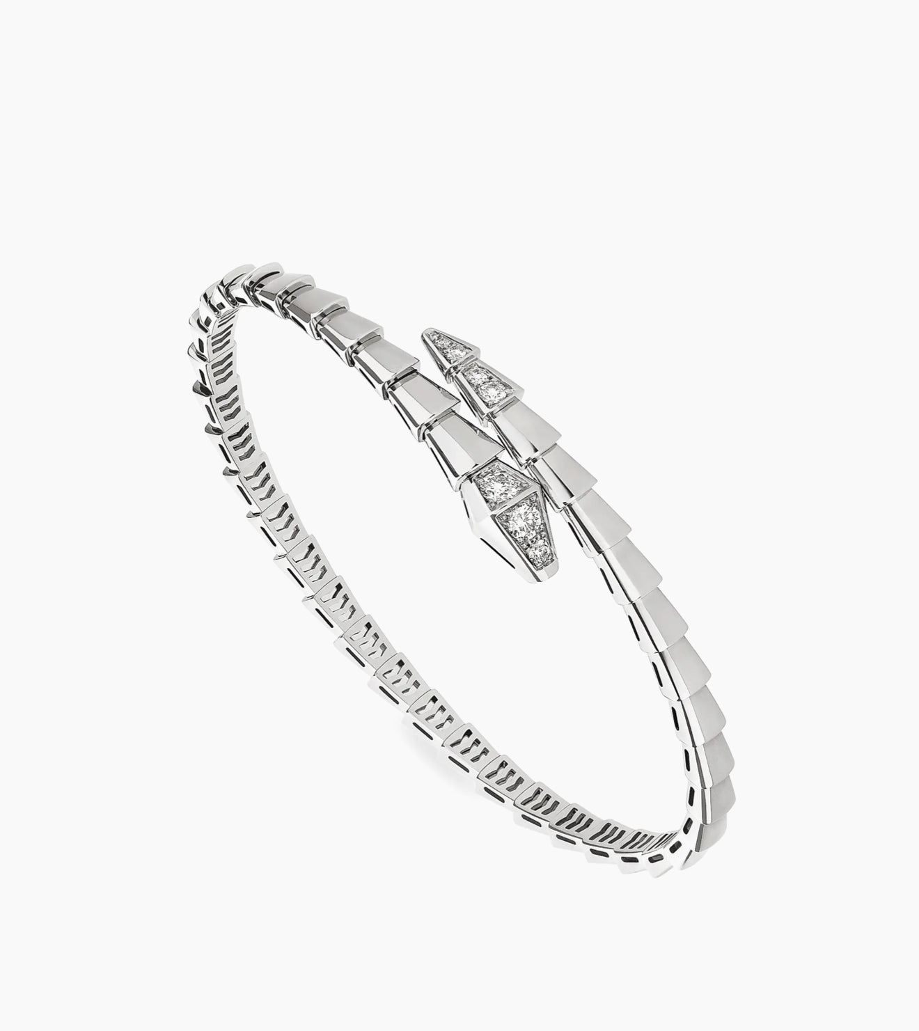 Serp-stone. Silver.
