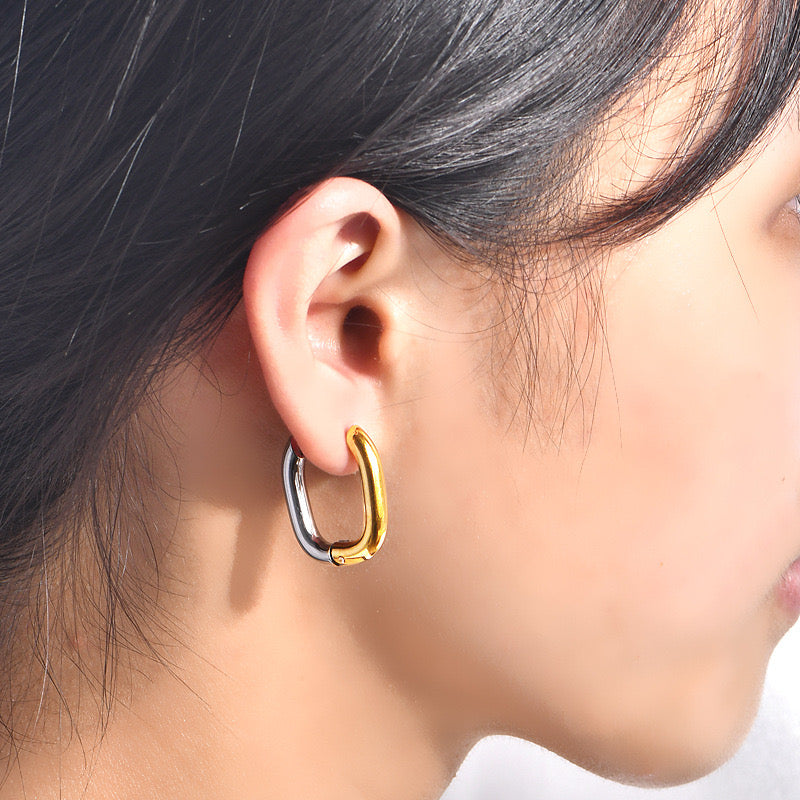 Double-tone earrings