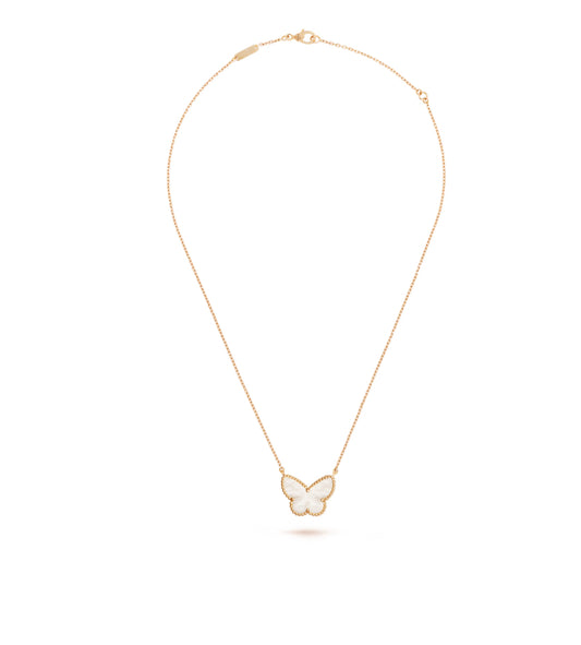 Butterfly 🦋 white