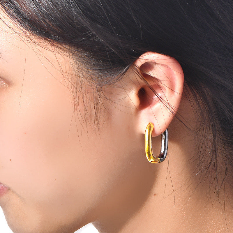 Double-tone earrings