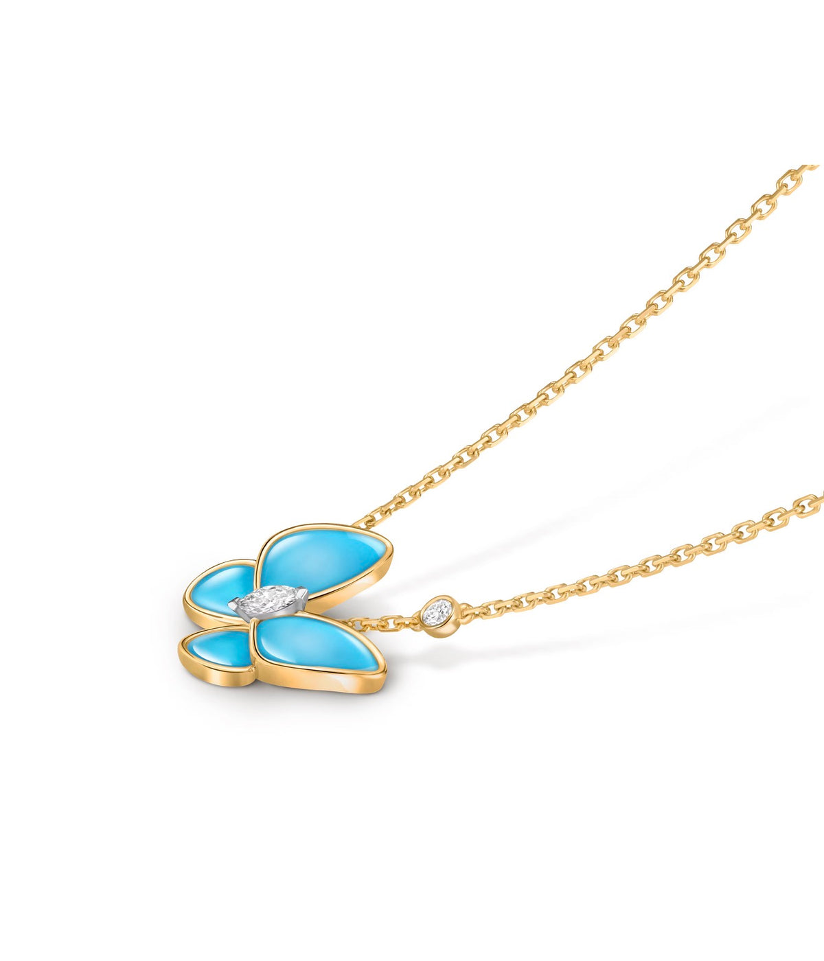 Butterfly blue