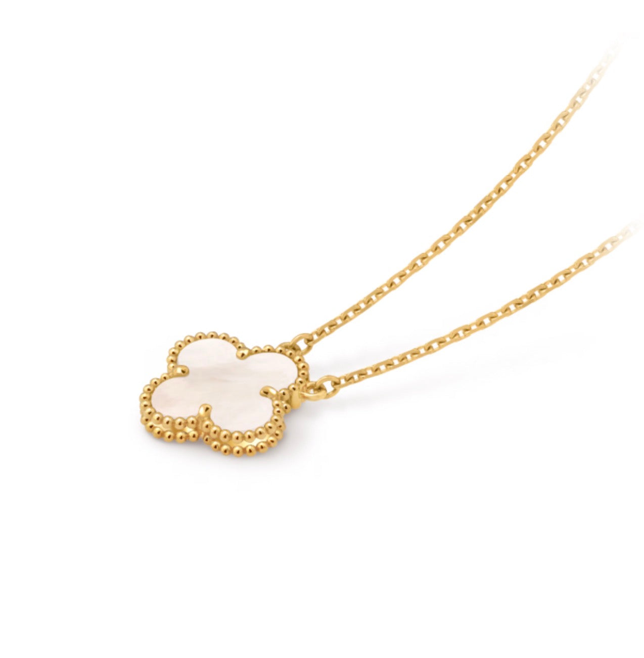 Clover- white-tolnasol