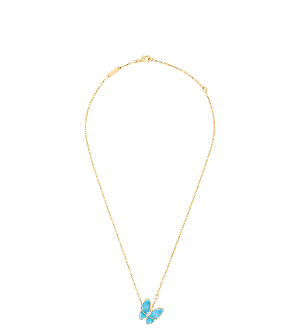 Butterfly blue