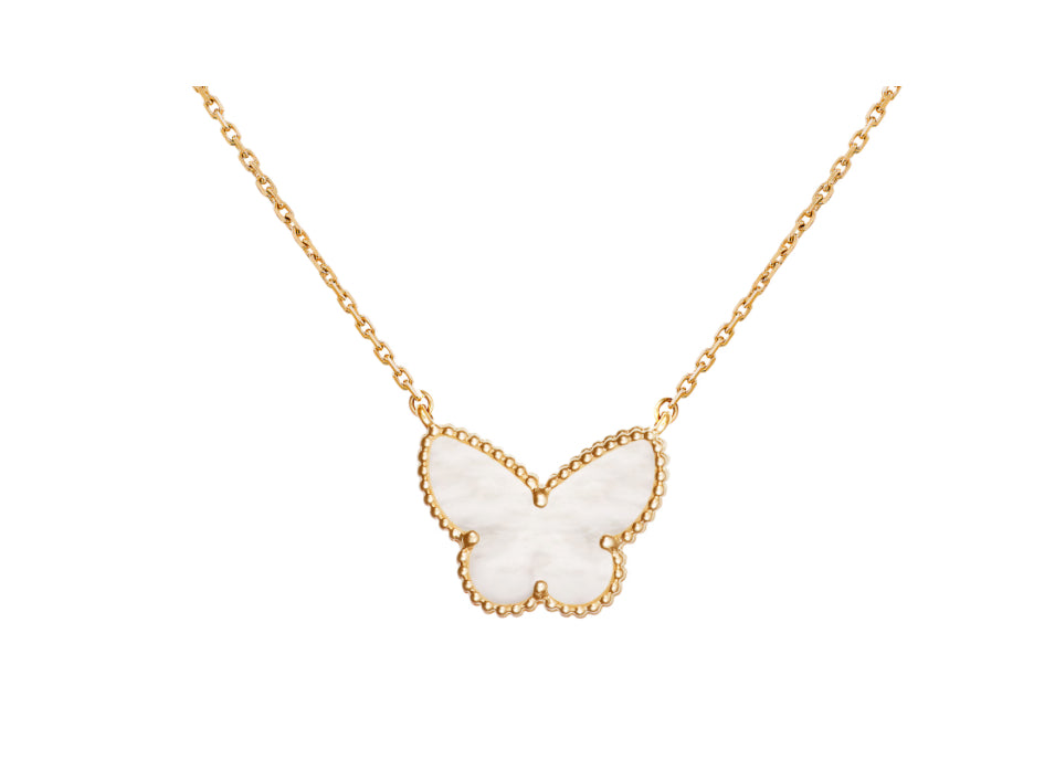 Butterfly 🦋 white