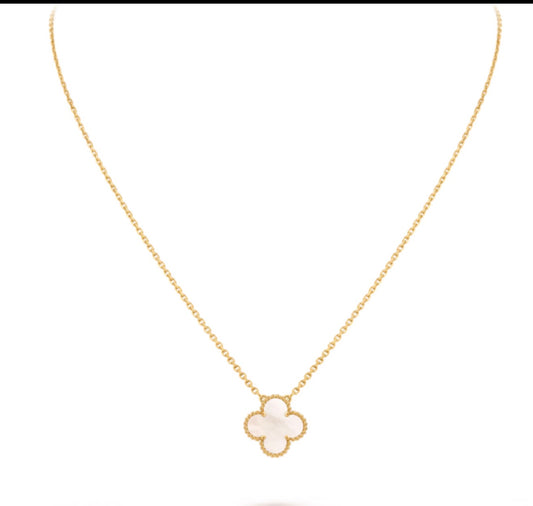 Clover- white-tolnasol