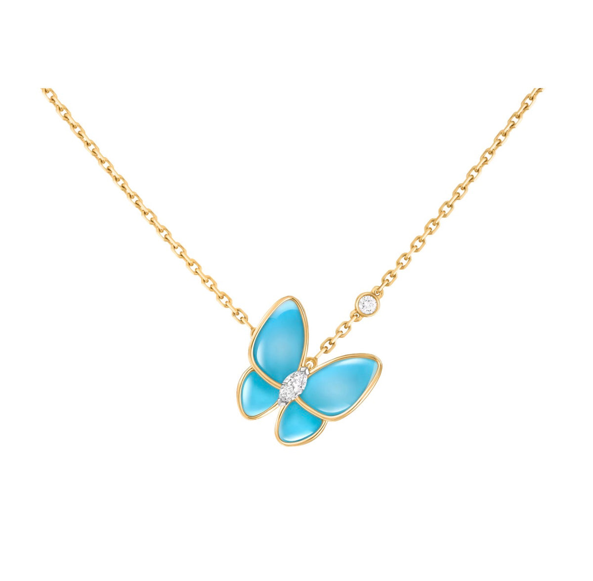 Butterfly blue